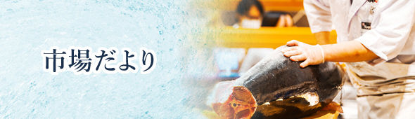 市場だより